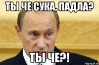 ты че сука, падла? ты че?!