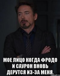  Мое лицо когда Фродо и Саурон вновь дерутся из-за меня.