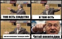 тем есть сходства и там есть они же кочевники ! лошадок любят Читай википедию