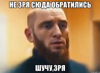 Не зря сюда обратились Шучу,зря