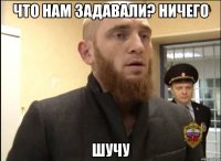 что нам задавали? ничего шучу