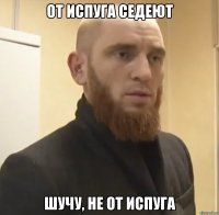 От испуга седеют Шучу, не от испуга