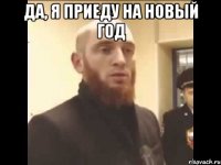 Да, я приеду на новый год 