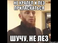 Не храпел и лез приласкаться Шучу, не лез