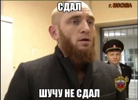 Сдал Шучу не сдал