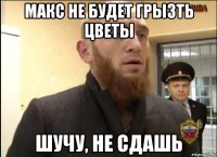 МАКС НЕ БУДЕТ ГРЫЗТЬ ЦВЕТЫ ШУЧУ, НЕ СДАШЬ