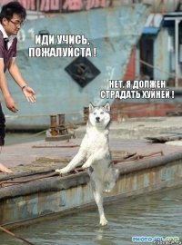 Иди учись, пожалуйста ! Нет, я должен страдать хуйней !