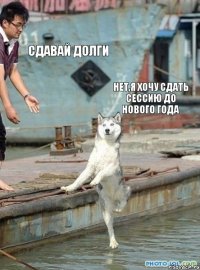 Сдавай долги Нет,я хочу сдать сессию до Нового года