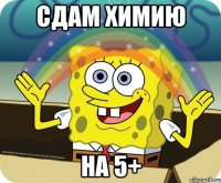 сдам химию на 5+