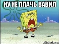 Ну не плачь Вавил 