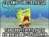 то самое чувство,когда тебя зовут гулять,но ты не можешь из-за художки