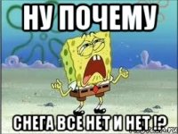 Ну почему снега все нет и нет !?