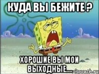 Куда вы бежите ? Хорошие вы мои выходные....