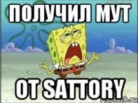 Получил мут от Sattory