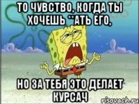 то чувство, когда ты хочешь **ать его, но за тебя это делает курсач