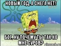 Новый год, а снега нет! Бог, ну почему ты так ко мне суров?