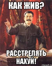 КАК ЖИВ? РАССТРЕЛЯТЬ НАХУЙ!