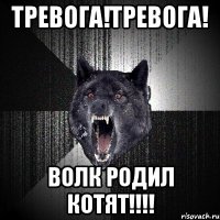 Тревога!Тревога! Волк родил котят!!!!