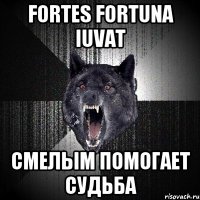 FORTES FORTUNA IUVAT СМЕЛЫМ ПОМОГАЕТ СУДЬБА