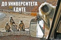 до университета едите