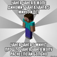 чанга чанга в жопе диномит чанга чанга 5 минут идёт чанга чанга 5 минут прошло чанга чанга жопу раснесло ай больно