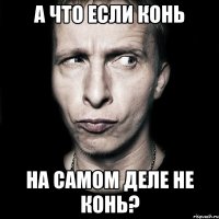 А что если конь на самом деле не конь?