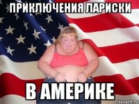 приключения лариски в америке