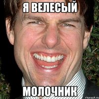 я велесый молочник