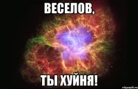 веселов, ты хуйня!