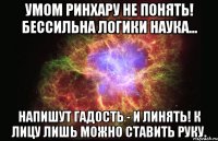 Умом РинХару не понять! Бессильна логики наука... Напишут гадость - и линять! К лицу лишь можно ставить руку.