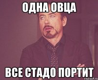 одна овца все стадо портит