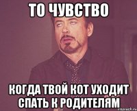 то чувство когда твой кот уходит спать к родителям