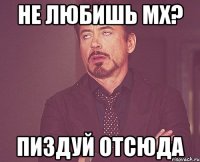 не любишь мх? пиздуй отсюда