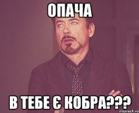 Опача В тебе є кобра???