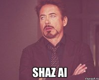  Shaz ai