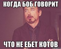 Когда Боб говорит что не ебет котов