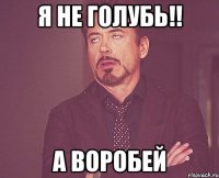 Я НЕ ГОЛУБЬ!! А ВОРОБЕЙ