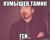 кумышев тамик гей...