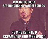 Мое лицо когда агрошкольник задает вопрос Че мне купить ? Скрамблер или Мэверик ?