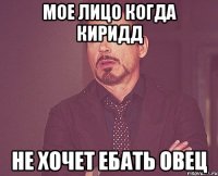 Мое лицо когда Киридд не хочет ебать овец