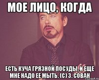 МОЕ ЛИЦО, КОГДА ЕСТЬ КУЧА ГРЯЗНОЙ ПОСУДЫ, И ЕЩЕ МНЕ НАДО ЕЕ МЫТЬ. (с) З. СОВАН