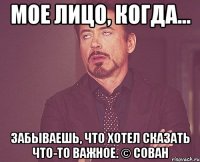 мое лицо, когда... забываешь, что хотел сказать что-то важное. © Сован