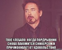  твоё хлебало, когда Пордрывник снова лакомится сникерсом и причмокивает от удовольствия