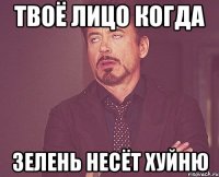 ТВоё лицо когда ЗЕлень несёт хуйню