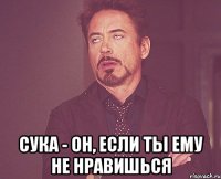  сука - он, если ты ему не нравишься