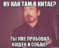 Ну как там в Китае? Ты уже пробовал кошек и собак?