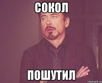 Сокол Пошутил