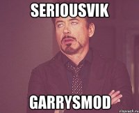 SeriousVik GarrysMod