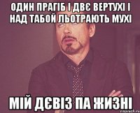 один прагіб і двє вертухі і над табой льотрають мухі мій дєвіз па жизні