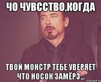 чо чувсство,когда твой монстр тебе уверяет что носок замёрз...